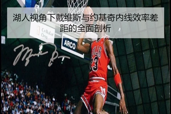 湖人视角下戴维斯与约基奇内线效率差距的全面剖析